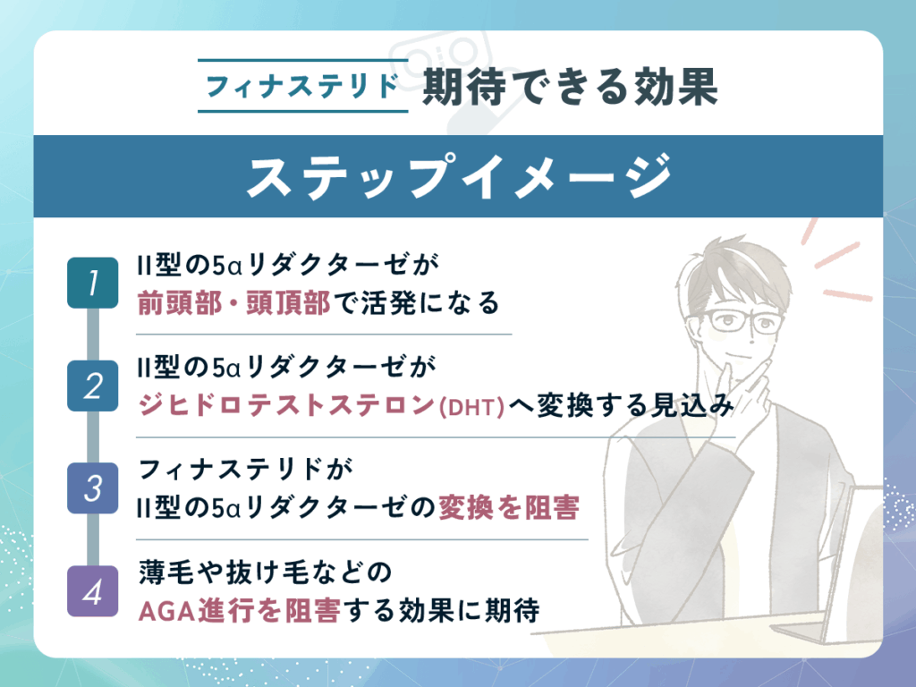 II型の5αリダクターゼを阻害する効果に期待できる