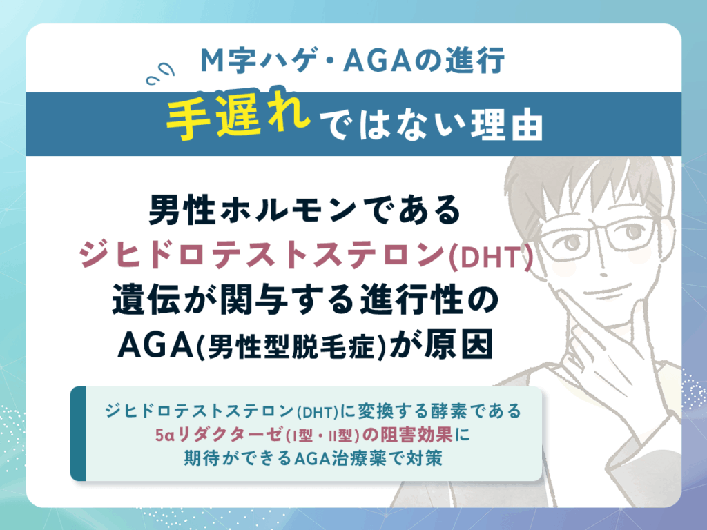 M字ハゲ(M字はげ)は手遅れになる考えは勘違いの理由①:永久的な脱毛ではなく毛周期の改善で対策できる